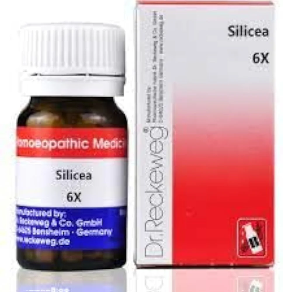 Dr R/W Silicea 6X 20gm Pack of 2