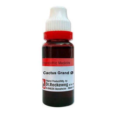Dr. Reckeweg Cactus Grandiflorus Q (MT) - 20ml