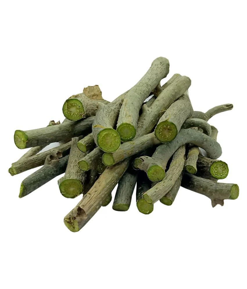 Giloy Stem Premium Quality – Giloi – Guduchi – Amrita – Amruta (250 gm)