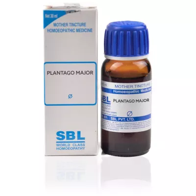 Plantago Major 1X (Q) (30ml)