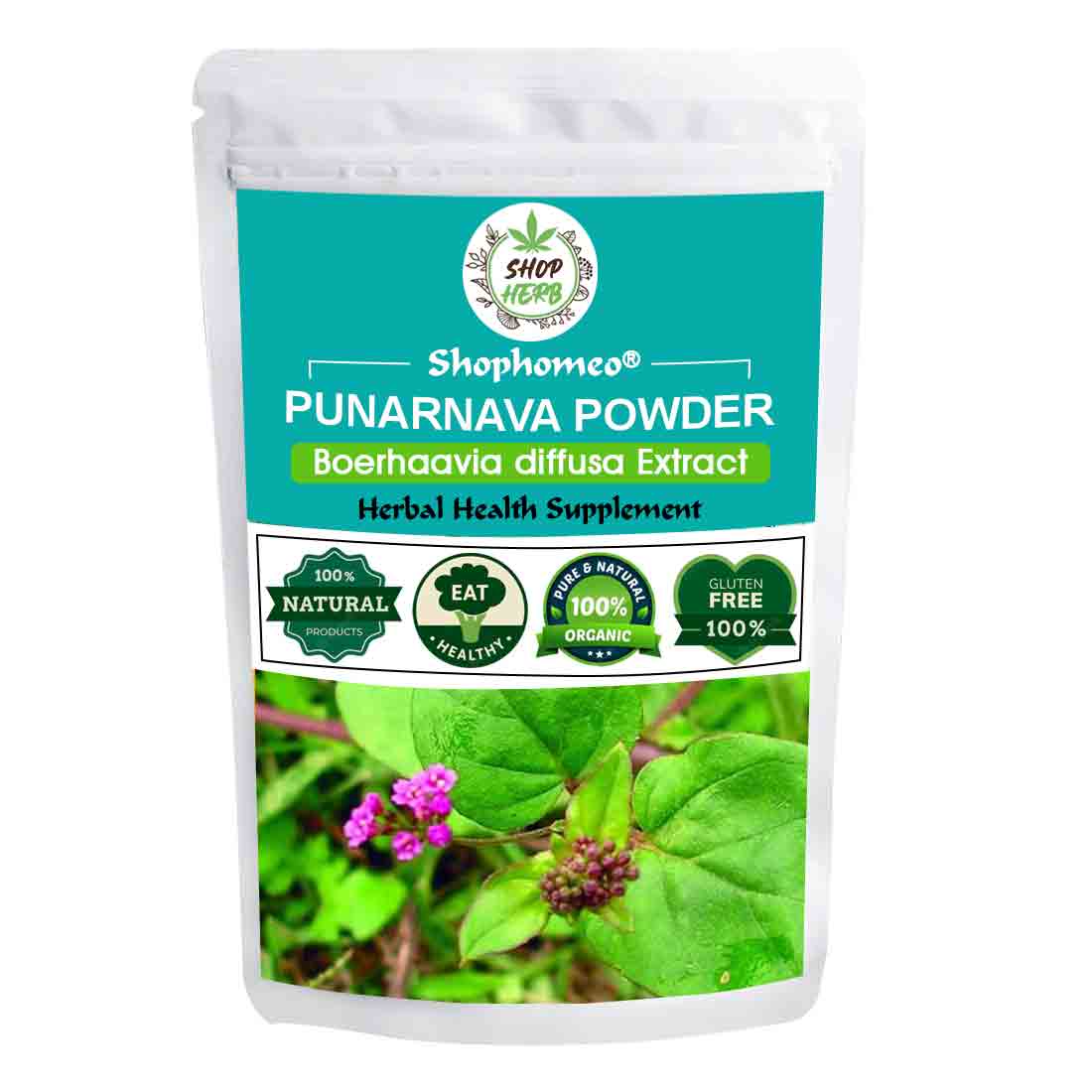 Punarnava Powder for Kidney Rejuvenation (200 gm) - Image 2