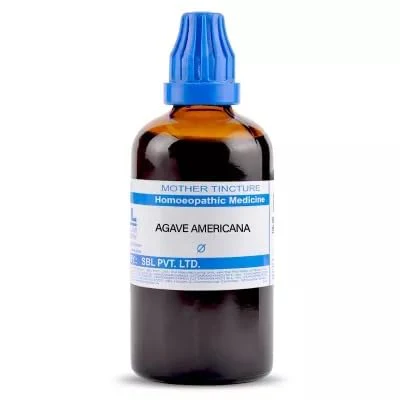 SBL Agave Americana Q - 100ml