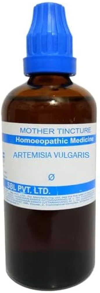 SBL Artemisia Vulgaris Q - 100ml