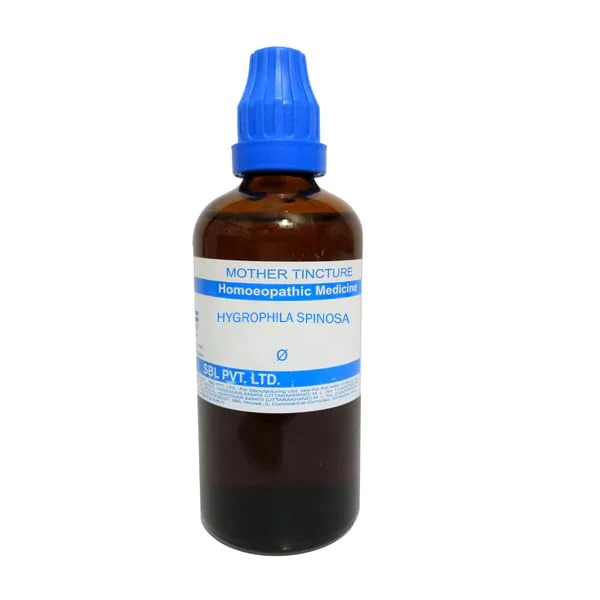 SBL Hygrophila Spinosa Q - 100ml