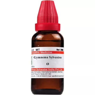 Willmar Schwabe India Gymnema Sylvestre 1X (Q) (30ml)