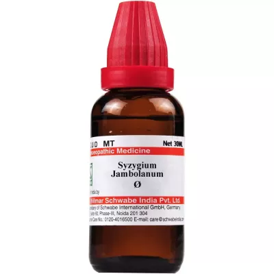 Willmar Schwabe India Syzygium Jambolanum 1X (Q) (30ml)